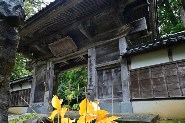 國泰寺総門