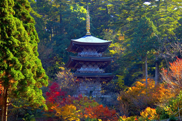 臨済宗大本山 國泰寺