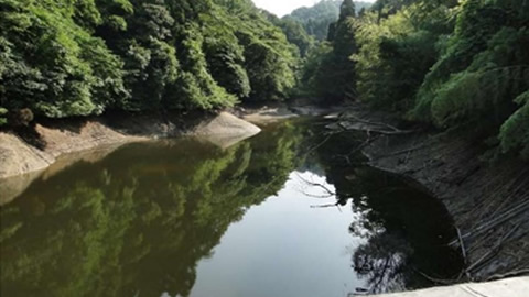 与茂九郎池二号池