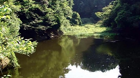 与茂九郎池三号池