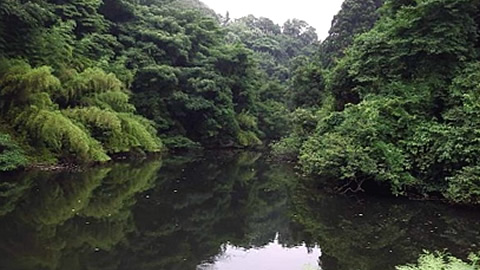 与茂九郎池四号池